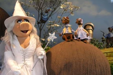 Ozflowershow16.jpg (109 KB)