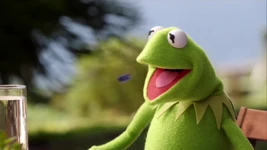 Kermit spits out a blueberry in The Muppets "Pig's in a Blackout"