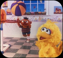 B6 "...played baby basketball."