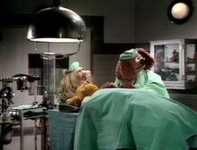 101-Teirklinik