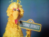 Big Bird Episodes 0133, 0152, 0160