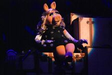 Glamshow.jpg (27 KB)