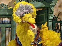 Peter and the Wolf Big Bird Grandfather