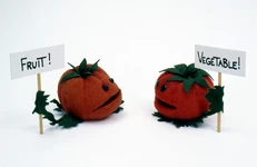 MuppetMag3-TomatoesPhoto.jpg (324 KB) Tomatoes The Muppet Show and Muppet Magazine