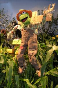 Ozflowershow10.jpg (128 KB)