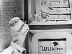 WilkinsReport-Cabinet