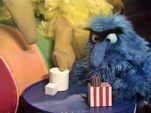 Big Bird: Multiple Classification (blocks)