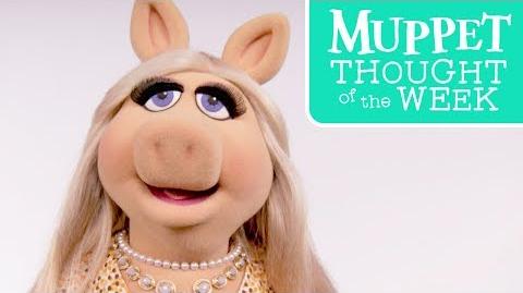 Miss Piggy Week of June 12, 2017