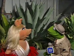 Reporter Kermit TV Land Piggy