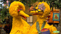 SSIC-Bird&Granny-3.jpg