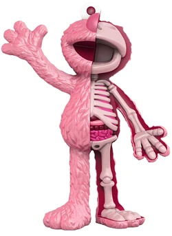 その他 XXRAY Plus Sesame Street Anatomical XXRAY Plus Sesame Street Anatomical