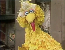 Bigbird76.jpg