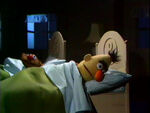 Ernie and Bert: Zoo, Balloon, and Buffalo