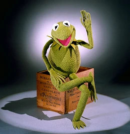 Stock photo of the Smithsonian's Kermit the Frog