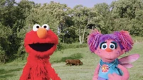 Show Topic: Animals (Elmo and Abby)