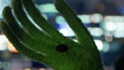 MMW Kermit holds mole