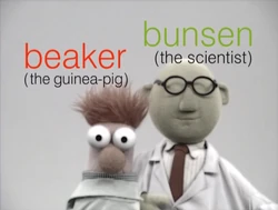 Muppetism Beaker guinea-pig Bunsen scientist