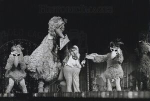 Ssliveseedybirds1980.jpg