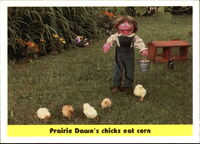 82: Prairie Dawn's chicks eat corn