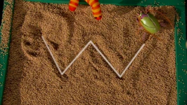 The Letter of the Day: "W - Digging Dirt" (First: Episode 4175)