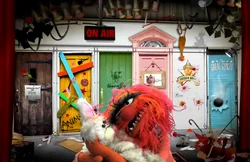 Animal looks for his pet bunny.