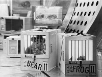 GMC-BearFrogCarriers.jpg (275 KB)