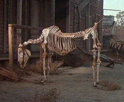 Ghosthorse.jpg (171 KB) former horse