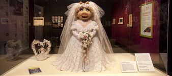 Miss Piggy in Chicago