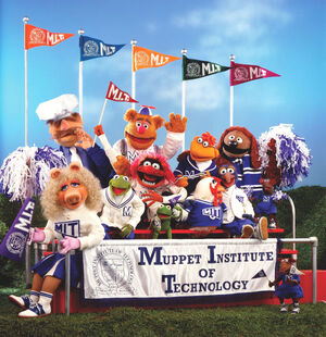 Photo-MuppetInstituteTechnology.jpg