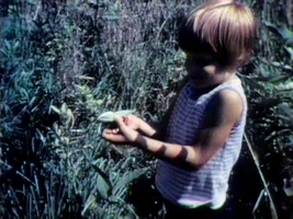 Song-LookAround.jpg (146 KB) "Look Around"