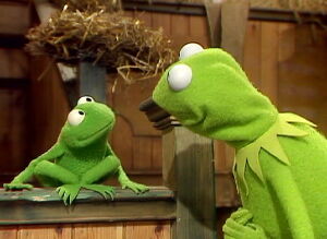 Robinkermit.jpg