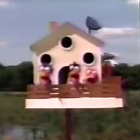 Felix, Flo, and Flip Fluter-tooter