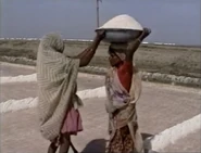 SaltMySalt.jpg (235 KB)