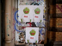 AllenAKA-IMG 0368.jpg (147 KB)