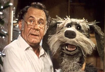 Germandoc.jpg (32 KB) The German Doc and Sprocket.