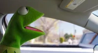KermitCarpool.jpg