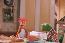 MFS-RaspberryFlopovers.jpg (302 KB)