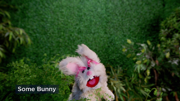 MuppetsNow-S01E05-SomeBunny.png (1.27 MB) Some Bunny ("The I.T. Factor")