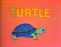 T - Turtle (First: Episode 1146)