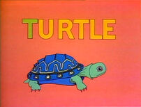 T - turtle Jeff Hale (First: Episode 1146)