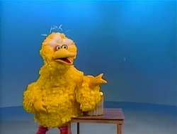 BigBird.Catch!
