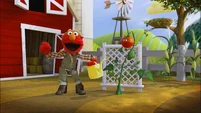 Elmo the Musical: Tomato (edited version: (First: Episode 4604))