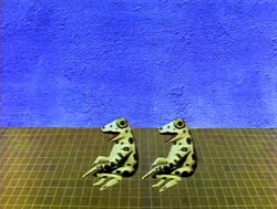 Frogs.Updown