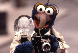 Gonzo camera