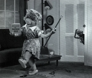 I Love Lucy Muppet Wiki Fandom