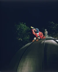 MFS-GonzoRoof.jpg (112 KB)