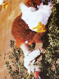 GMC-BeakerRowlfClimb.jpg (161 KB)