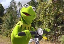 Kermit's Swamp Years 2002