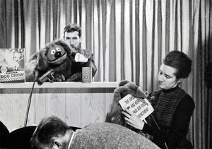 Purina behind the scenes.jpg