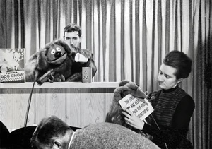 Purina behind the scenes